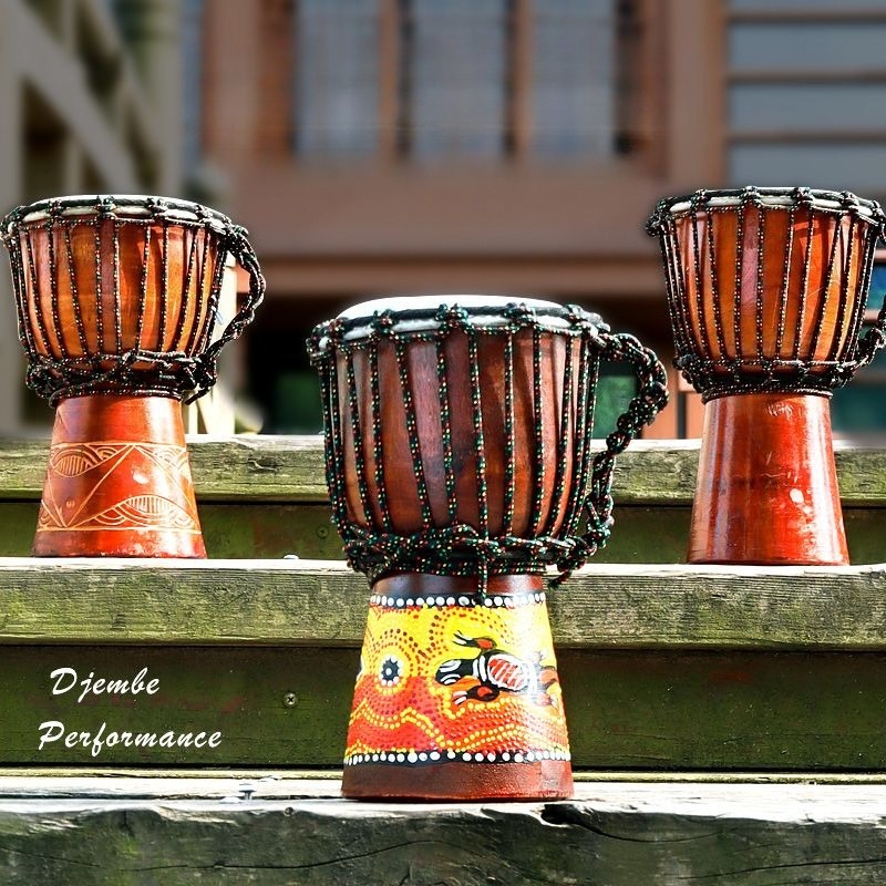 Children Beginner Small Africa - Musical Instrument Djembe 评论和价格